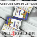 Gelée Orale Kamagra Gel 100Mg 12